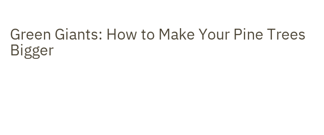 Green Giants: How to Make Your Pine Trees Bigger – Nikola's Bakery